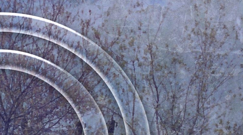 the pulltops - have you ever seen the rain