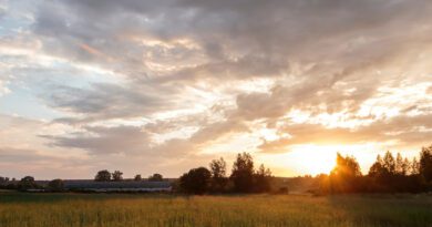 ALLYSE - cherry on top