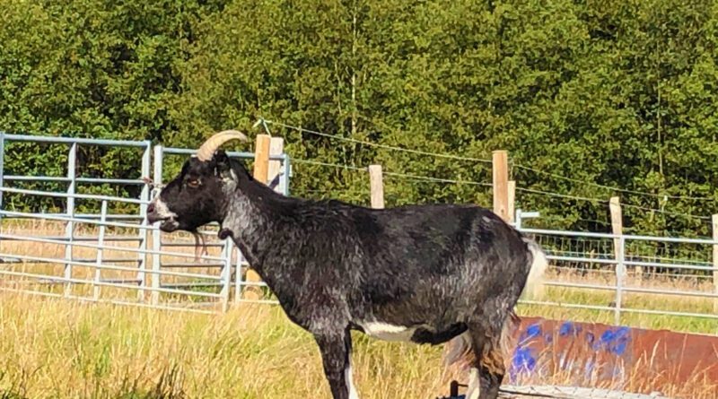 matt saxton - the edge of things