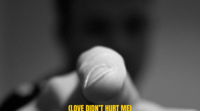 alan dreezer - love didn't hurt me it was you