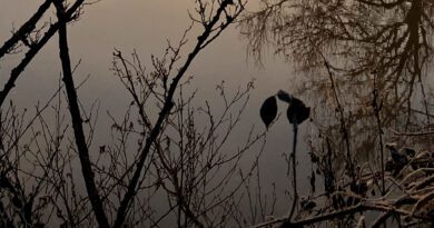 Jenny Raisanen - Breathe