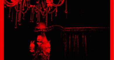 lauren ann - when the party ends