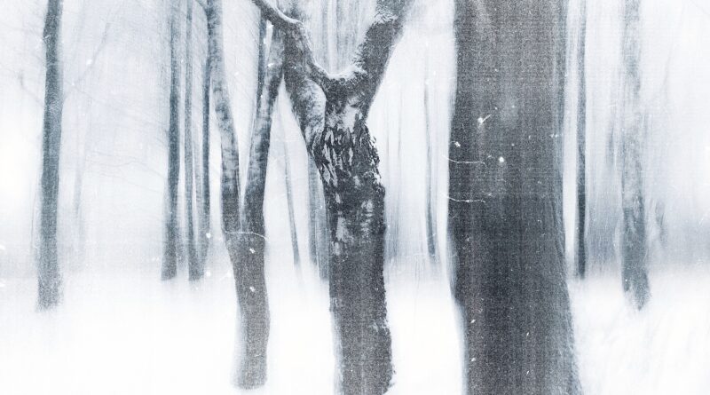 Mahuna - Dream Winters Day