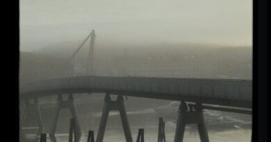 spun for miles - minds of fault