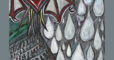 animal souls - the kids