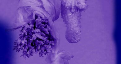 bad bubble - at the age of three