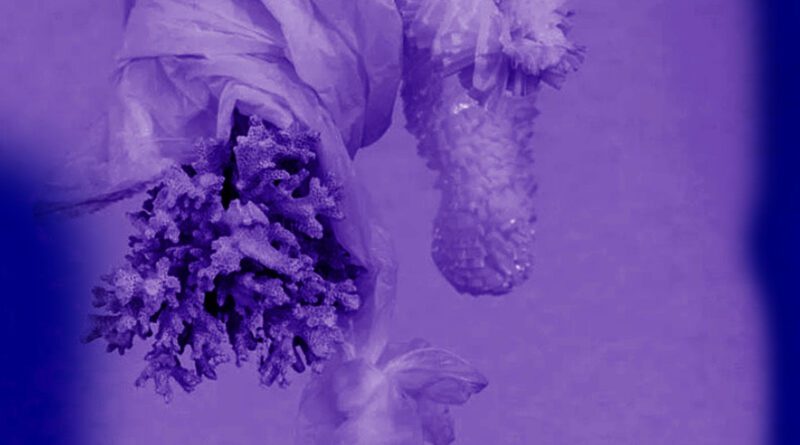 bad bubble - at the age of three