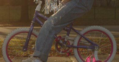 callie young - training wheels