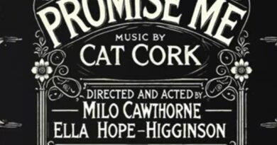 cat cork - promise me