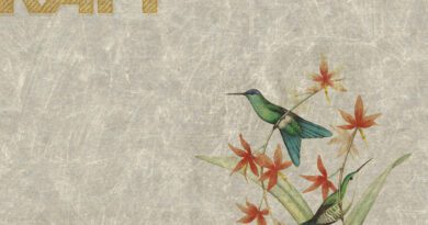 marble raft - marble halls