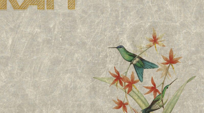 marble raft - marble halls