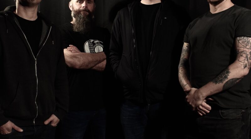 shaven primates press shot