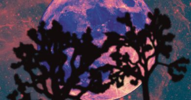 the hogstad brothers - spinning round