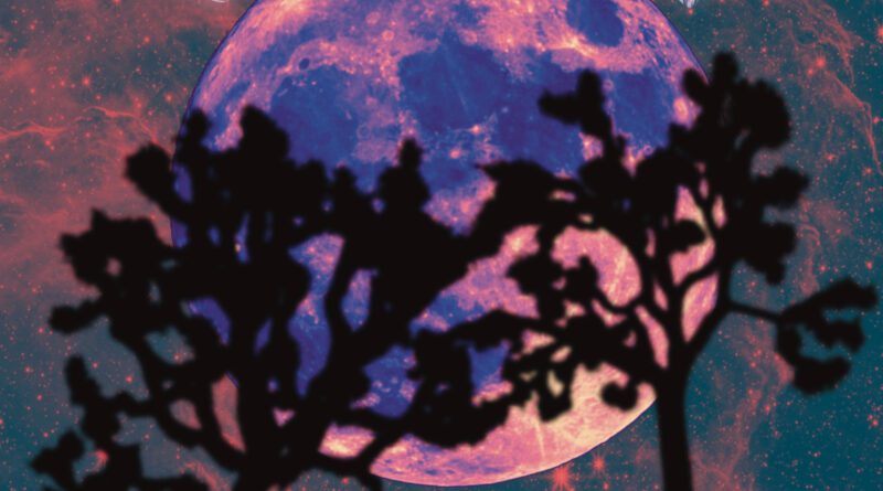 the hogstad brothers - spinning round