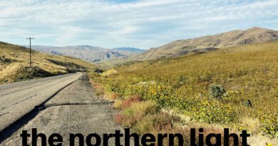 the northern light - people of the snake