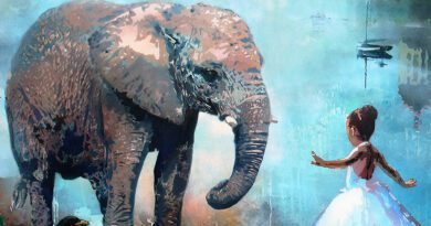 thomas & the angry hearts - perfect rules