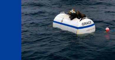 ambergrove - big morning