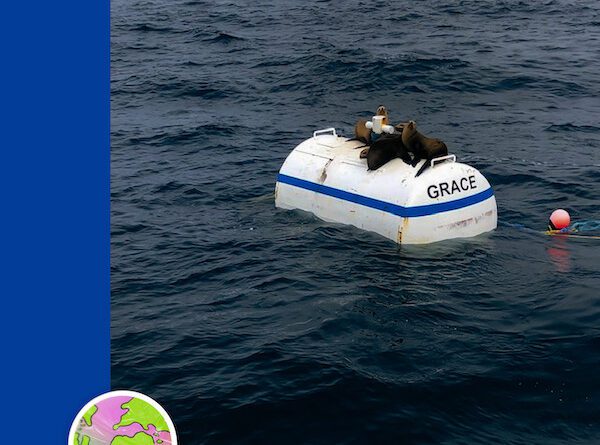 ambergrove - big morning