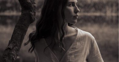 brid lyons - mothlight