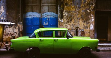 eddie cohn - wheels stop