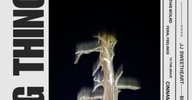 jj sweetheart - big things