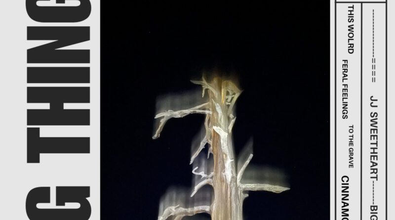 jj sweetheart - big things