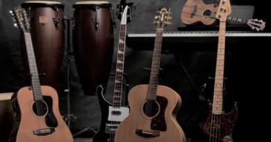 ray johnson - isn't that true