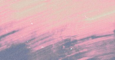 supersaurus - fool for you