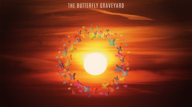 the butterfly graveyard - setting sun