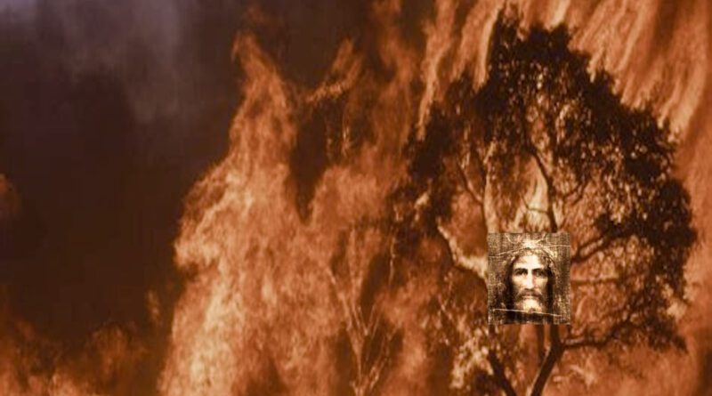 the mess:age - his return