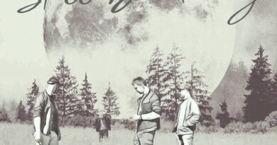 tooth marks - still dreaming