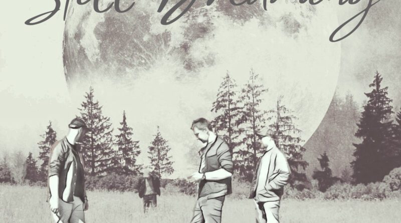 tooth marks - still dreaming