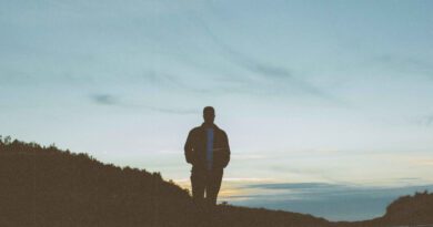 we are all fossils - rapture