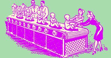 zacharay mason - i wish humans were made in a factory