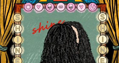 chris bullinger - shine