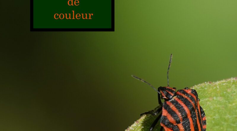 christophe lorient - petit ecran de colouer