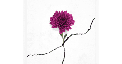 copper lungs - broken beautiful