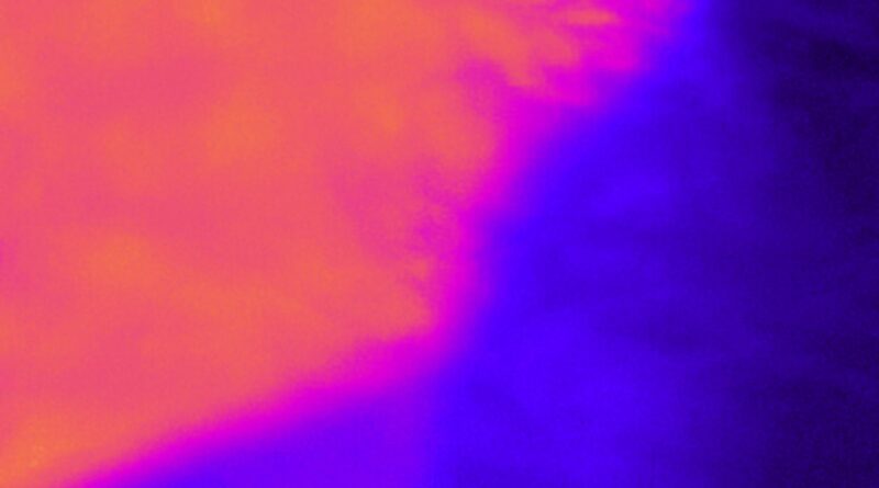 koalra - in a weird way