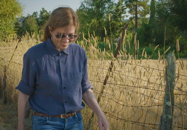 liz kennedy - coyote