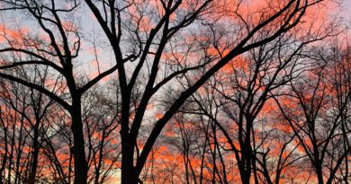 matt tarka - beginnings