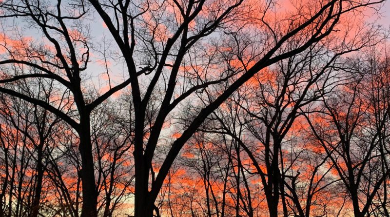 matt tarka - beginnings