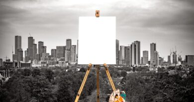 skar de line - vignette