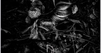 Daniel Hjalmtysson - Helplessly Hopeless