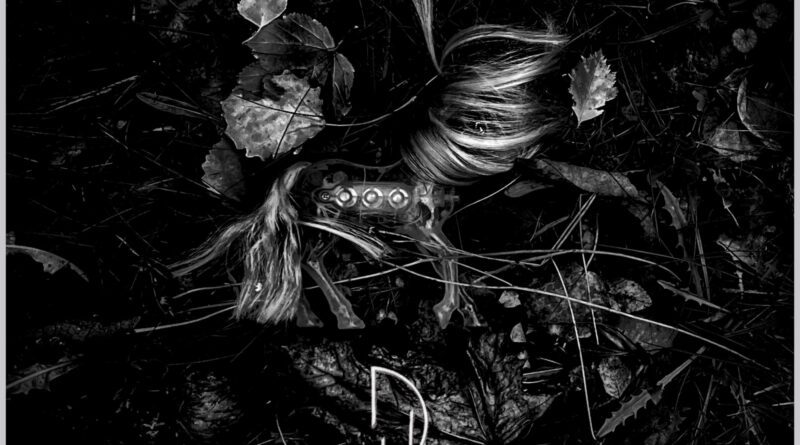 Daniel Hjalmtysson - Helplessly Hopeless