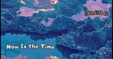 Stoneshoes - Now Is The Time