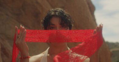 ANI D - Color Of Your Soul