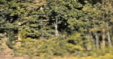 BÄCK - Kalla Händerna