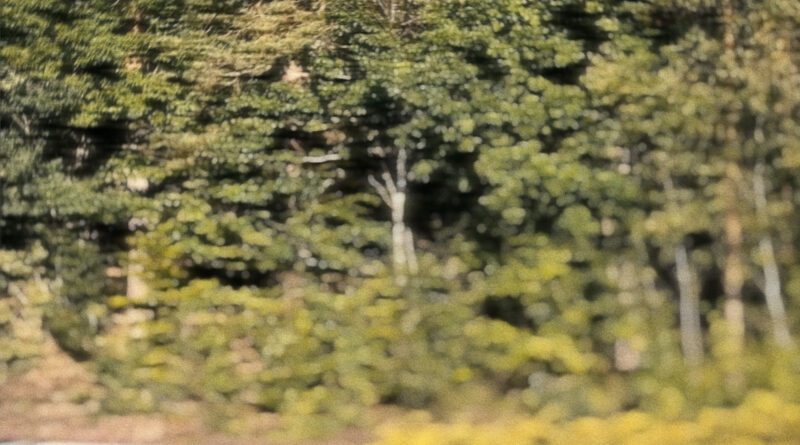 BÄCK - Kalla Händerna