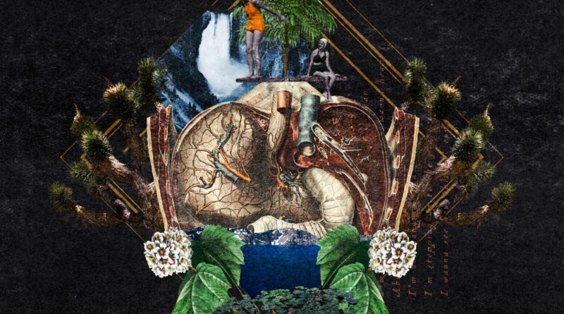 Go Bury Your Monsters - In The Belly Of The Beast