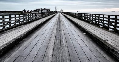 Kate Prendergast - Ignition